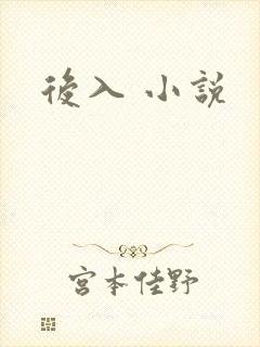 后入 小说