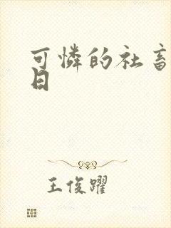 可怜的社畜东度日