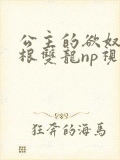 公主的欲奴h四根双龙np视频