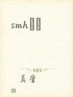 smhС˵