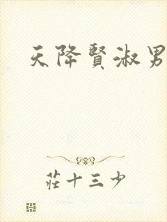 天降贤淑男小说