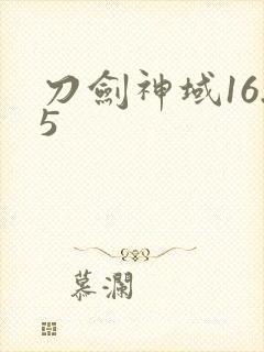 刀剑神域16.5