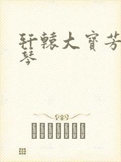 轩辕大宝芳菲雅琴