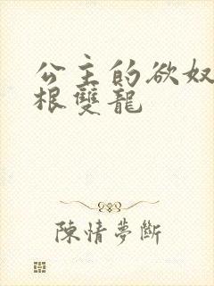 公主的欲奴h四根双龙