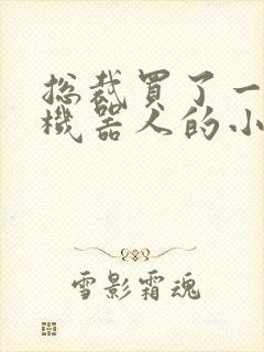 总裁买了一个男机器人的小说