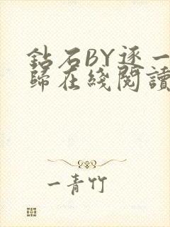 钻石BY逐一而归在线阅读