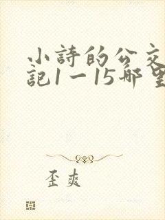 小诗的公交车日记1一15哪里能看