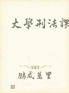 大学刑法课