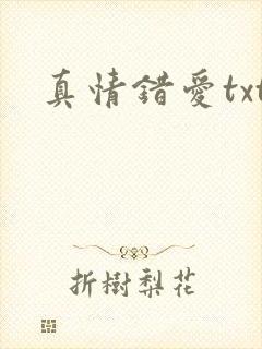 真情错爱txt