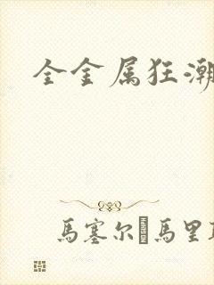 全金属狂潮小说