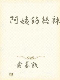 阿姨的丝袜小说