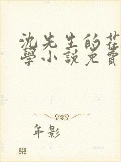 沈先生的花式教学小说免费