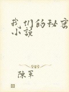 我们的秘密泰剧小说