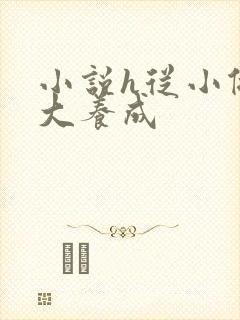 小说h从小做到大养成