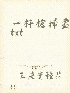 一杆枪扫尽全家txt