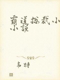 霸道总裁小娇妻小说