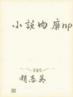 小说肉糜np