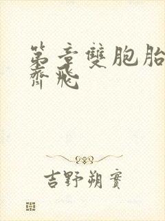 第章双胞胎姐妹齐飞