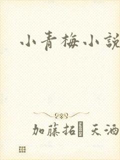 小青梅小说