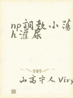 np调教小荡货h灌尿