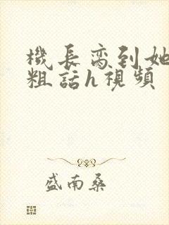 机长脔到她哭h粗话h视频