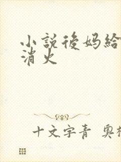 小说后妈给我消消火