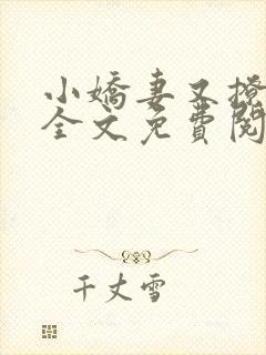 小娇妻又撩又甜全文免费阅读