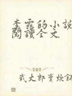 李霖的小说免费阅读全文