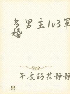 多男主1v3军婚