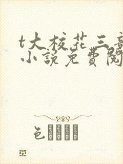 t大校花三部曲小说免费阅读全文