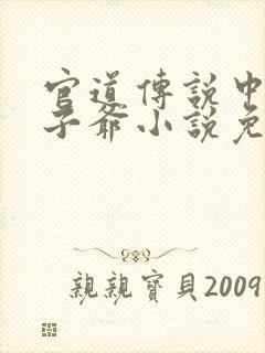 官道传说中的太子爷小说免费阅读