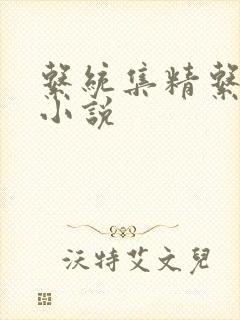 系统集精系统 小说