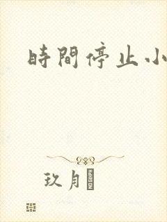 时间停止小说