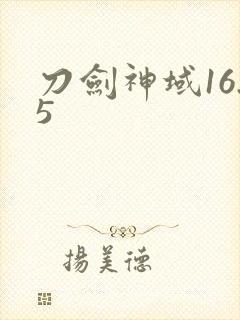 刀剑神域16.5