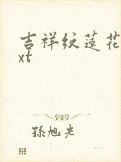 吉祥纹莲花楼txt