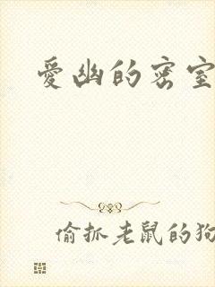 爱幽的密室小说