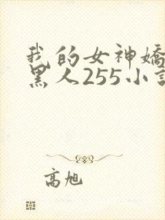 我的女神娇妻与黑人255小说