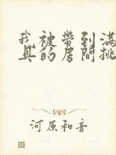 我被带到满是玩具的房间挑调作文