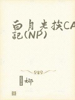 白月光挨CAO记(NP)