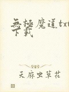 无极魔道txt下载