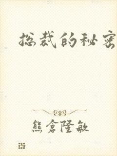 总裁的秘密情人