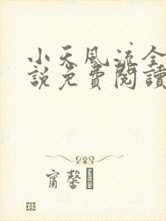 小天风流全集小说免费阅读