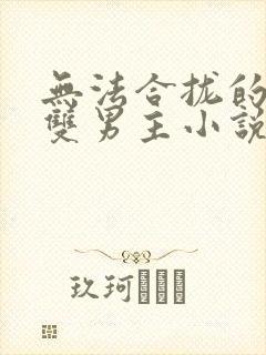 无法合拢的总裁双男主小说