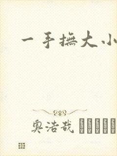 一手抚大小说
