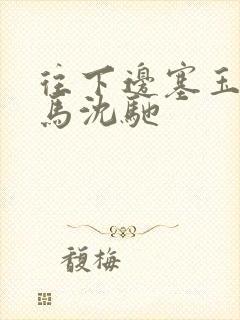 往下边塞玉器骑马沈驰