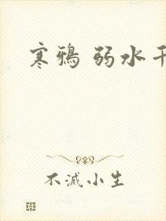 寒鸦 弱水千流