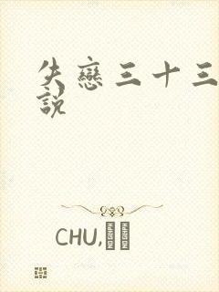 失恋三十三天小说