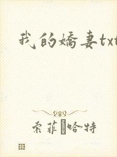 我的娇妻txt