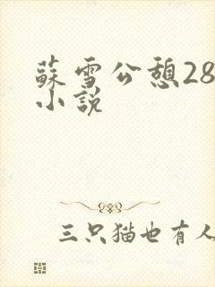 苏雪公憩28篇小说