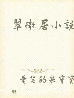 翠微居小说